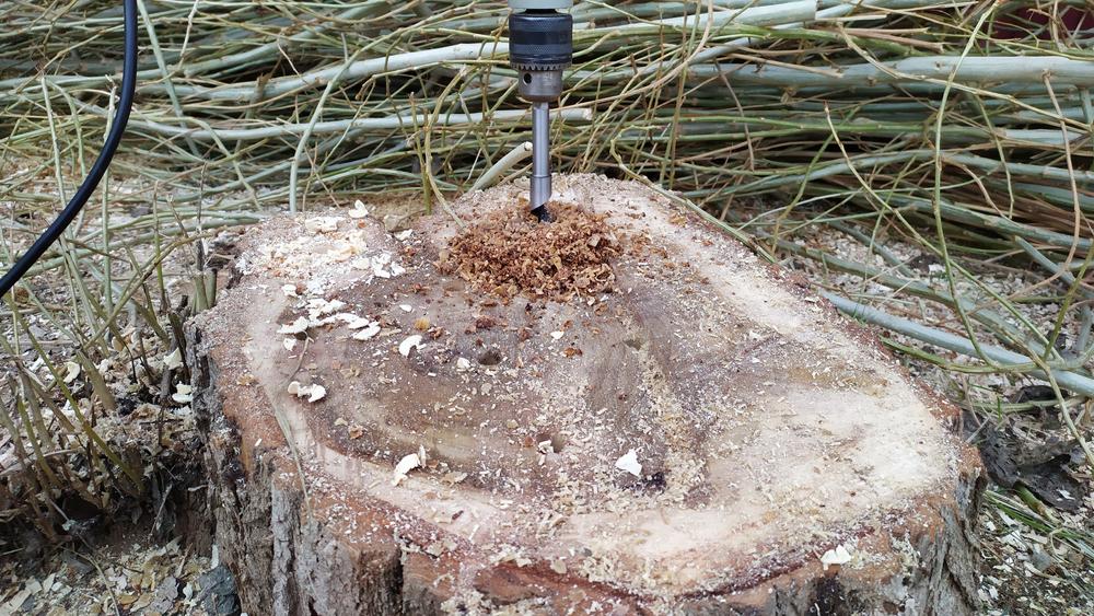 Best Drill Bit for Tree Stump