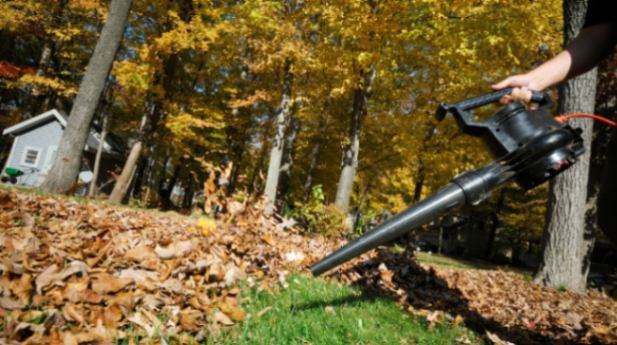 Benefits of Leaf Blower Vacuum: Maximize Your Lawn Care