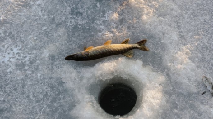 Best Tips for Ice Fishing: Reeling in Success