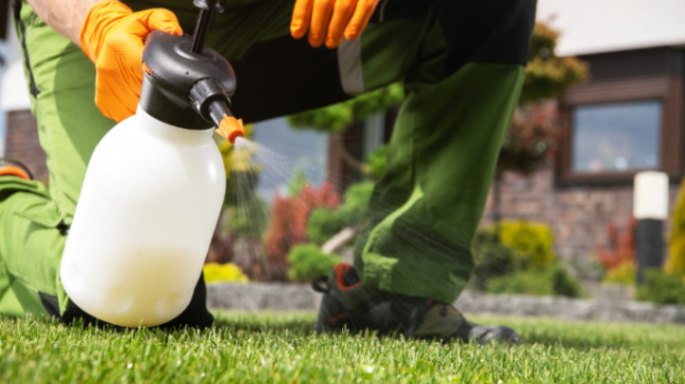 How to Use Weed Killer on Lawn: Weed Terminator