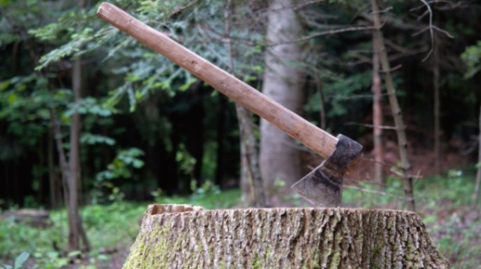 Tips for Safe Stump Removal At Home: Tips from the Pros
