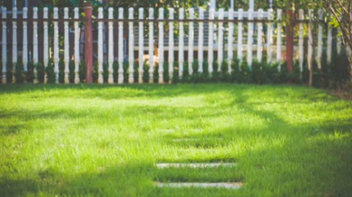 Top 10 Yard Care Tips: Master Your Yard