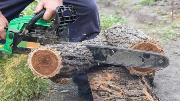 How to Cut Log Slices with Chainsaw: From Logs to Art