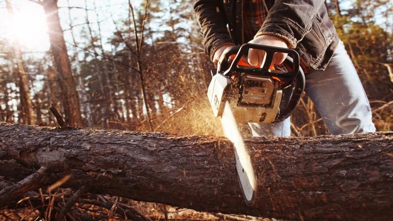How to Cut Straight With a Chainsaw: Mastering Precision