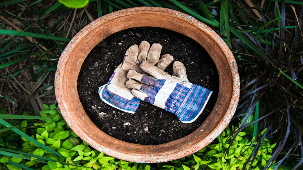 Gloves laying of flower pot