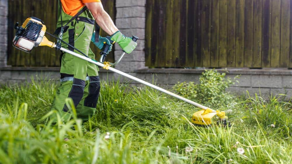 aucasiann men trimming grass gasoline string