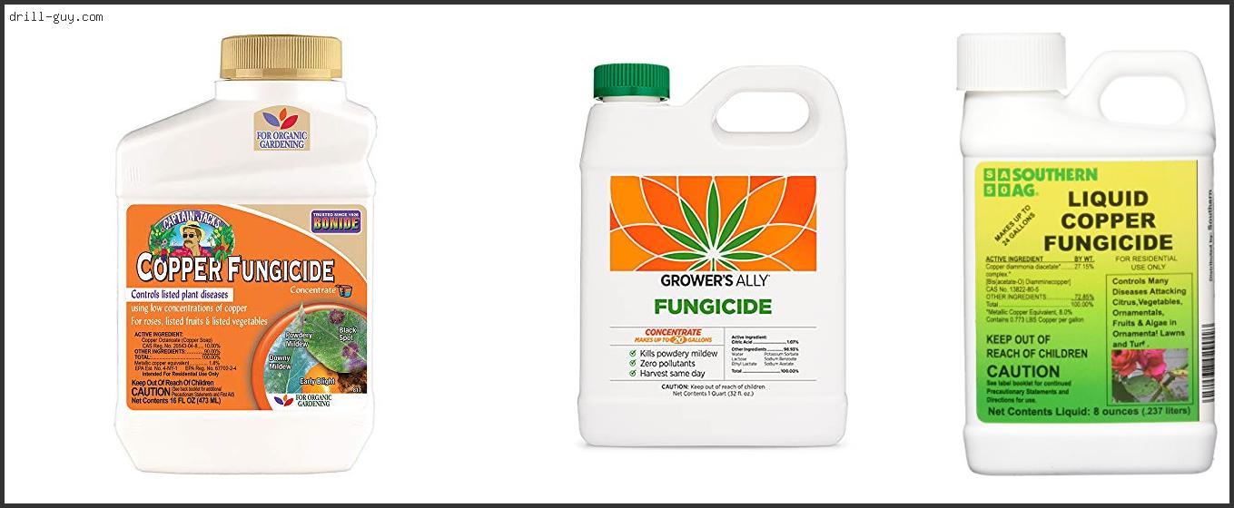 Best Fungicide For Willow Trees