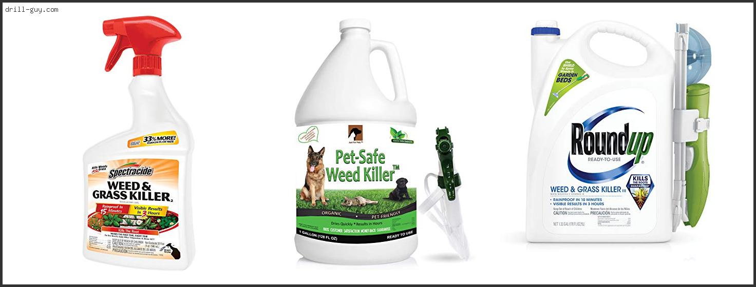 Best Weed Killer For Patio