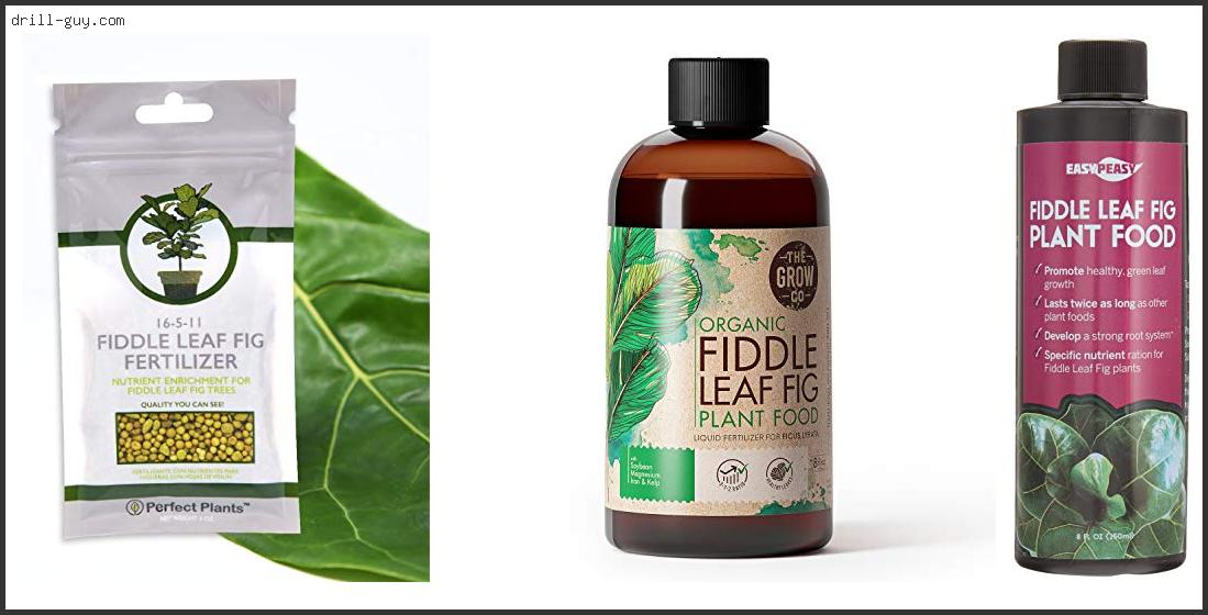 Best Fiddle Leaf Fig Fertilizer