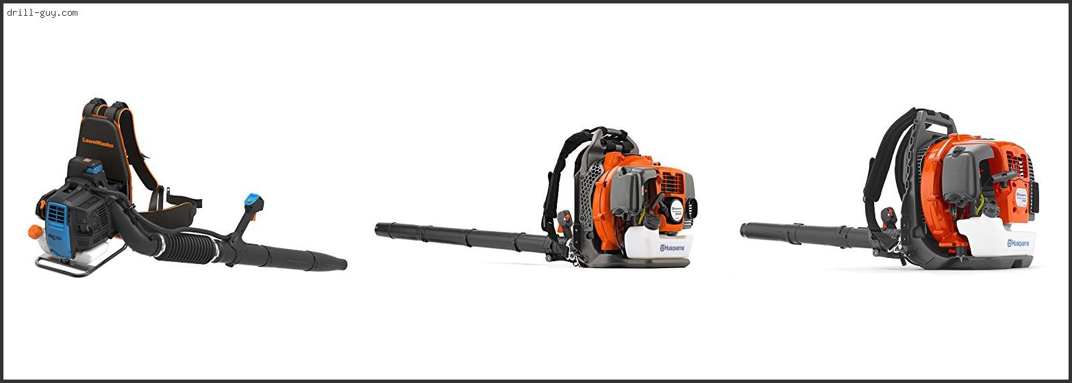 Best Lightweight Backpack Leaf Blower Guide For Beginners