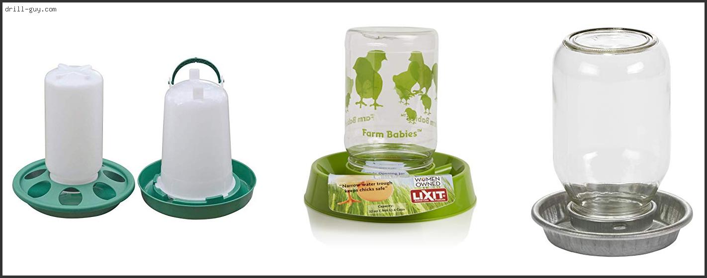 Best Waterer For Baby Chicks Buying Guide Best Waterer For Baby Chicks