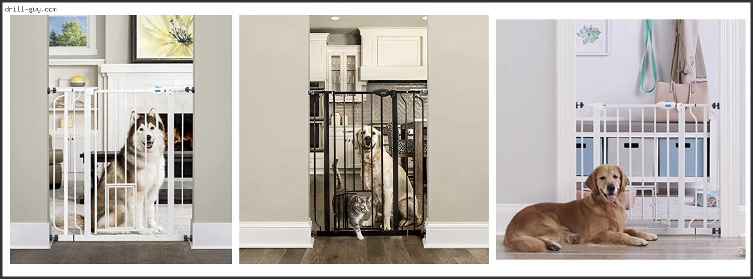 Best Baby Gate With Pet Door Buying Guide